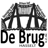 De brug Hasselt